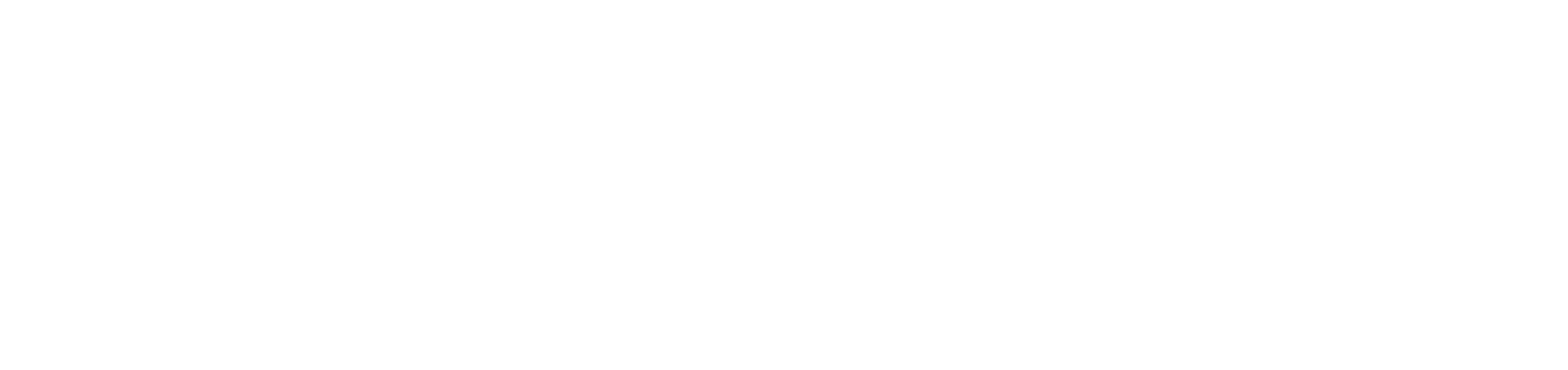 Orion Logo